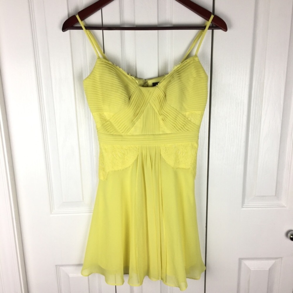 Lined BCBG dress with pin tucks and lace